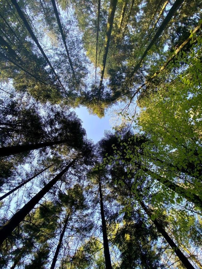 Camping De La Foret Seasonova Sille-le-Guillaume ภายนอก รูปภาพ